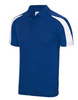 Royal Blue Arctic White