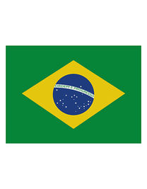 Flag Brazil - FLAGBR - Printwear