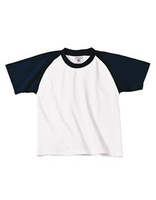 White Navy