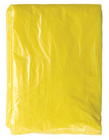 Signal Yellow