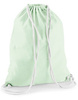 Pastel Mint White