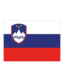 Flag Slovenia - FLAGSI - Printwear
