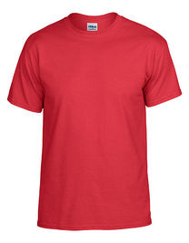DryBlend® Adult T-Shirt - G8000 - Gildan