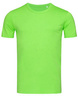 Green Flash
