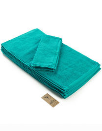 Guest Towel - AR034 - ARTG