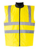 Signal Yellow