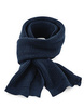 French Navy