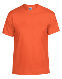 DryBlend® Adult T-Shirt - G8000 - Gildan