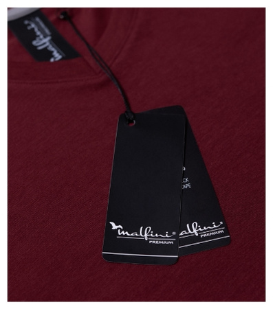 MALFINI Premium® Koszulka męska Action V-neck (70086)