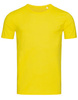 Daisy Yellow