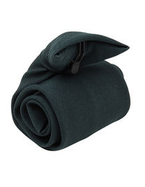 Clip-on Tie - PW710 - Premier Workwear