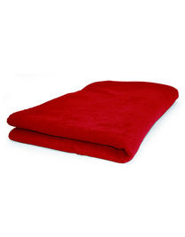 Picnic Blanket - NT507 - L-merch