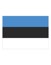 Flag Estonia - FLAGEE - Printwear