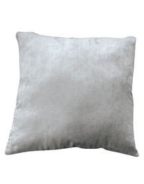 Cushion - NT2016 - L-merch
