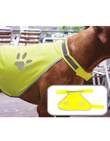 Signal Yellow