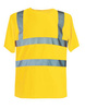 Signal Yellow