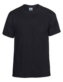 DryBlend® Adult T-Shirt - G8000 - Gildan